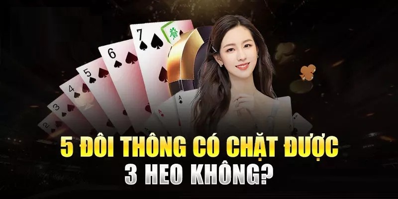 5 đôi thông có chặt được sám cô heo